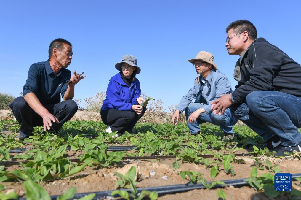 百老汇官网登录
